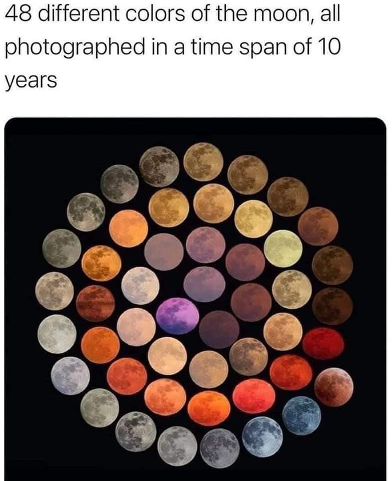 48 different colors of the moon all photographed in a time span of 10 years