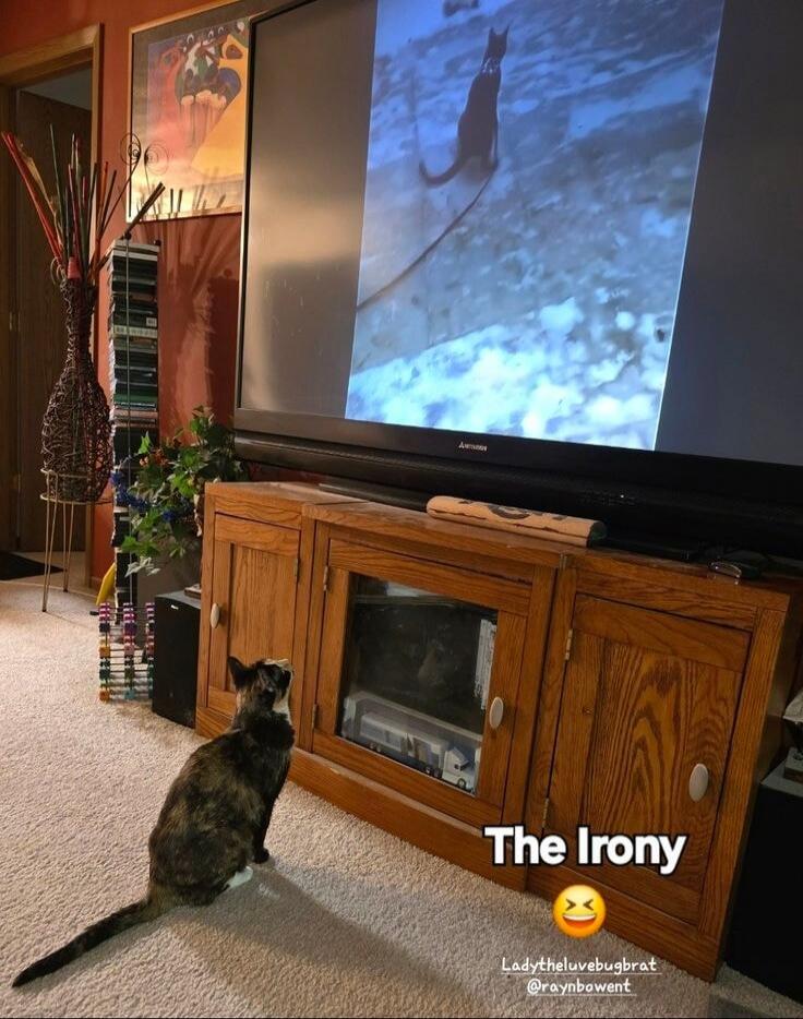 The Irony