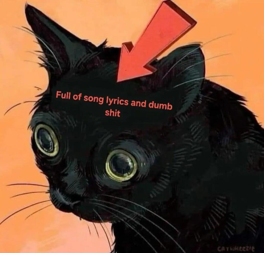 Fullof song Iyrics LLLE shit