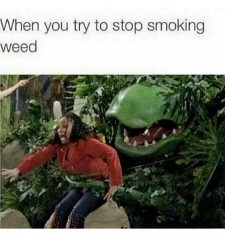 When you try to stop smoking