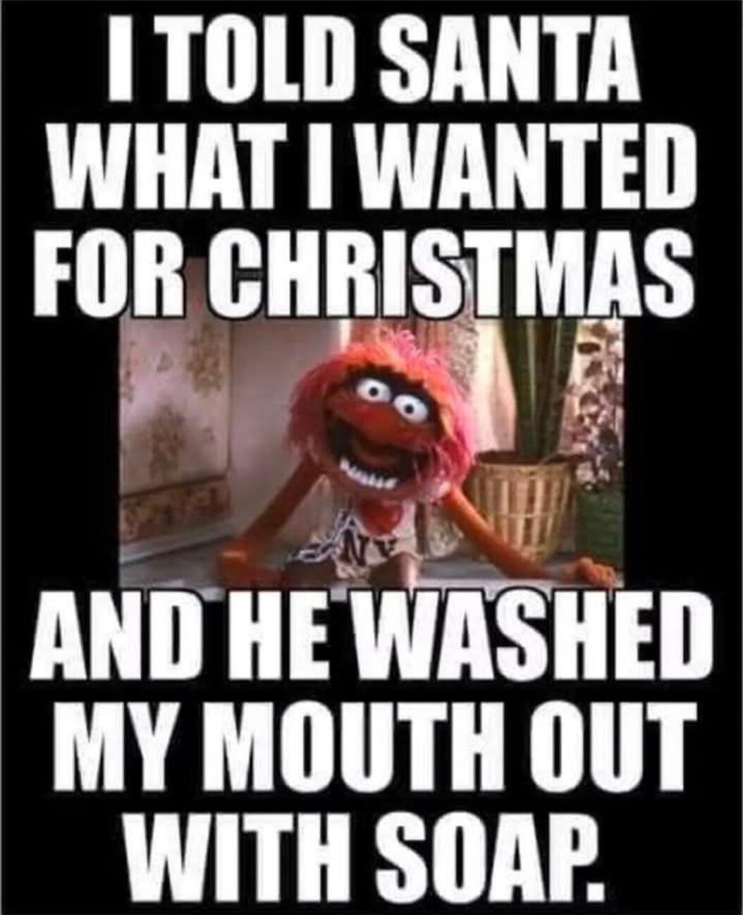 I TOLD SANTA WHAT I WANTED FOR CHRISTMAS AND HE WASHED MY MOUTH OUT WITH SOAP.