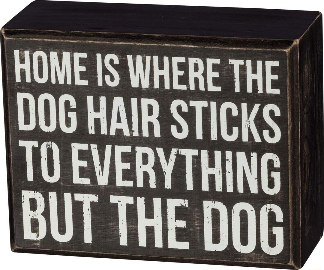 HOME IS WHERE THE DOG HAIR STICKS T0 EVERYTHING BUT THE DOG