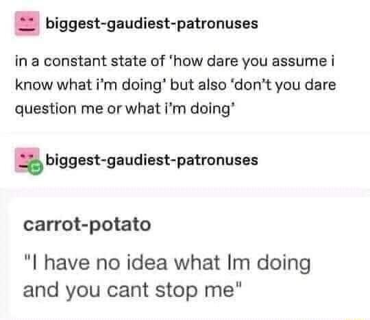 biggest gaudiest patronuses in a constant state of how dare you assume i know what im doing but also dont you dare question me or what im doing biggest gaudiest patronuses carrot potato l have no idea what Im doing and you cant stop me
