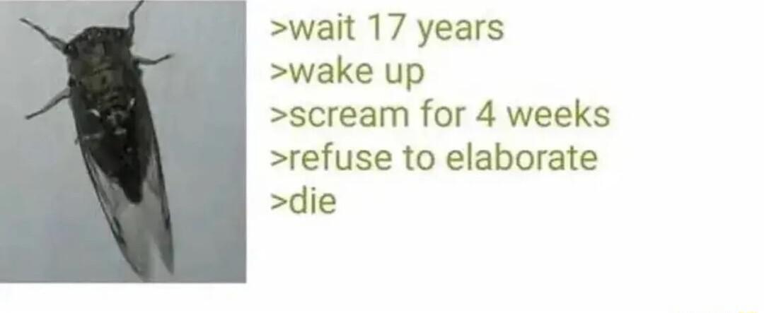 wait 17 years wake up scream for 4 weeks refuse to elaborate die