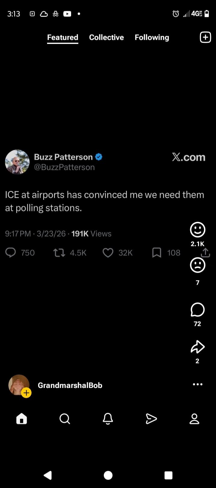 ICE at airports has convinced me we need them at polling stations.