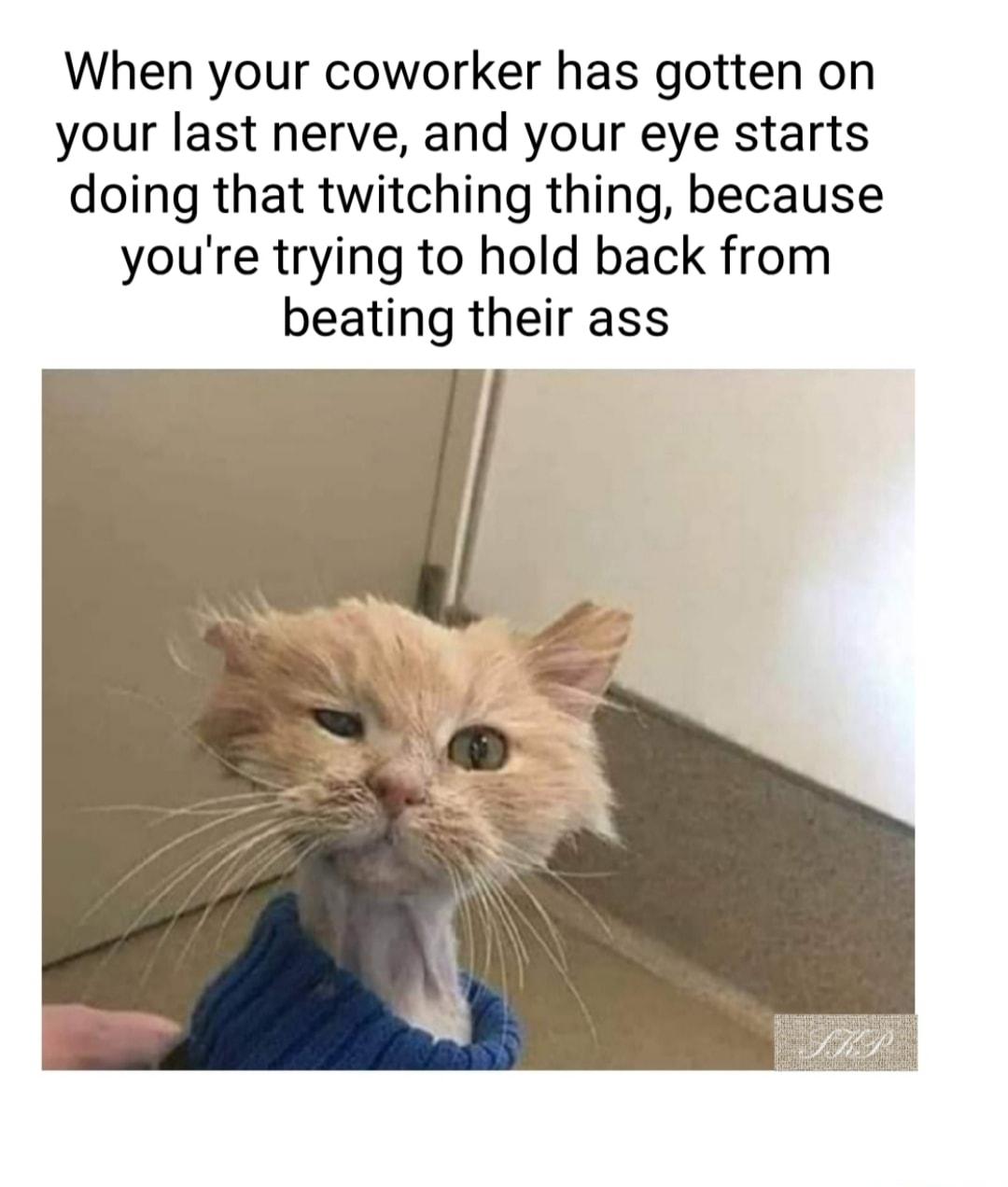 When your coworker has gotten on your last nerve and your eye starts doing that twitching thing because youre trying to hold back from beating their ass
