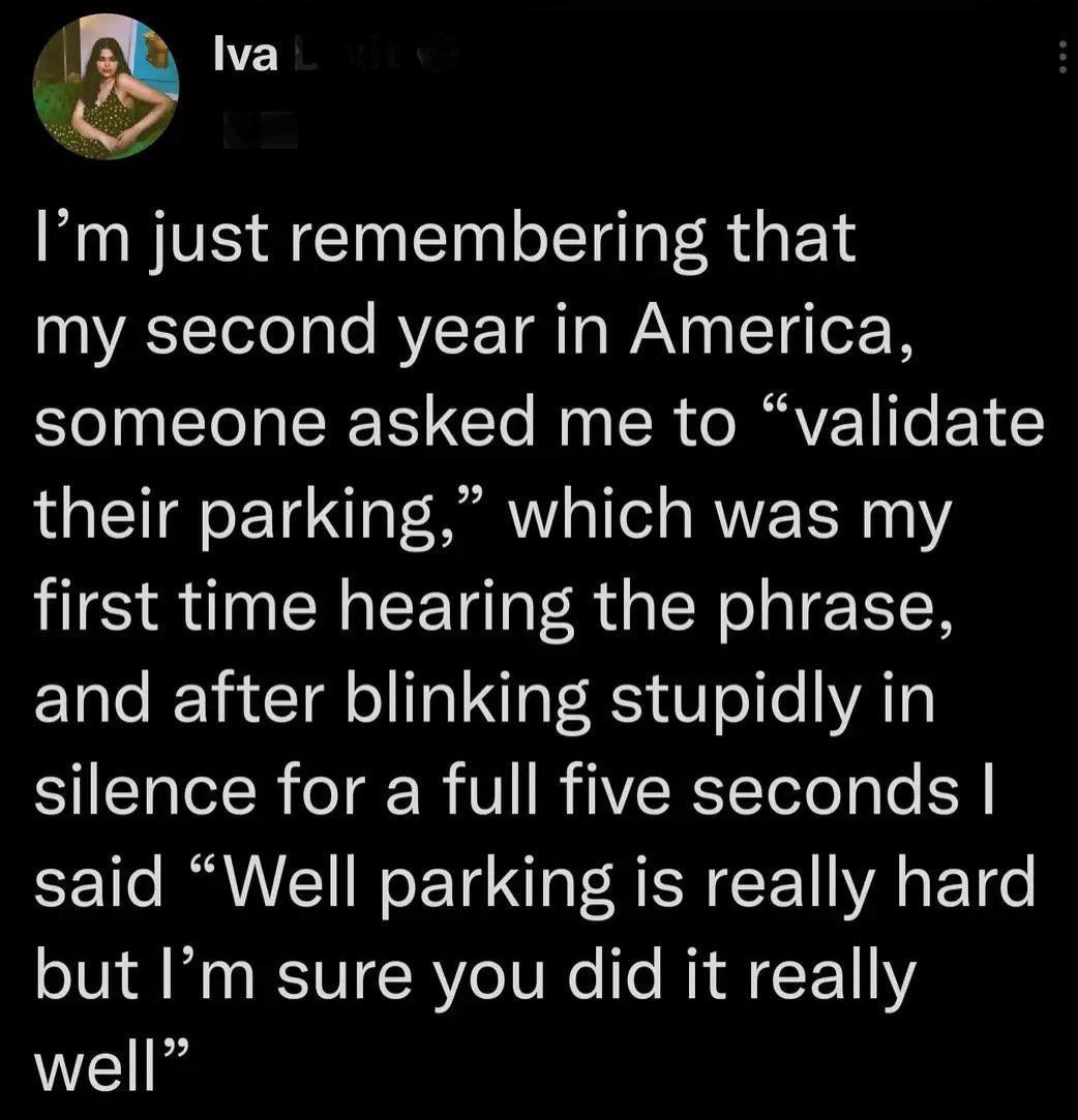 5 lva Im just remembering that VA Telo o le AVLF TR s WAN R T g o someone asked me to validate their parking which was my first time hearing the phrase and after blinking stupidly in silence for a full five seconds said Well parking is really hard but Im sure you did it really well