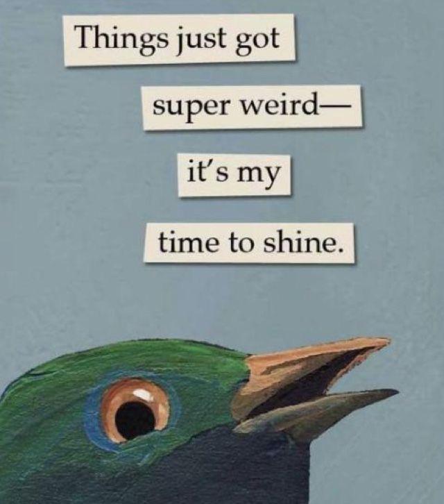 Things just got super weird time to shine l
