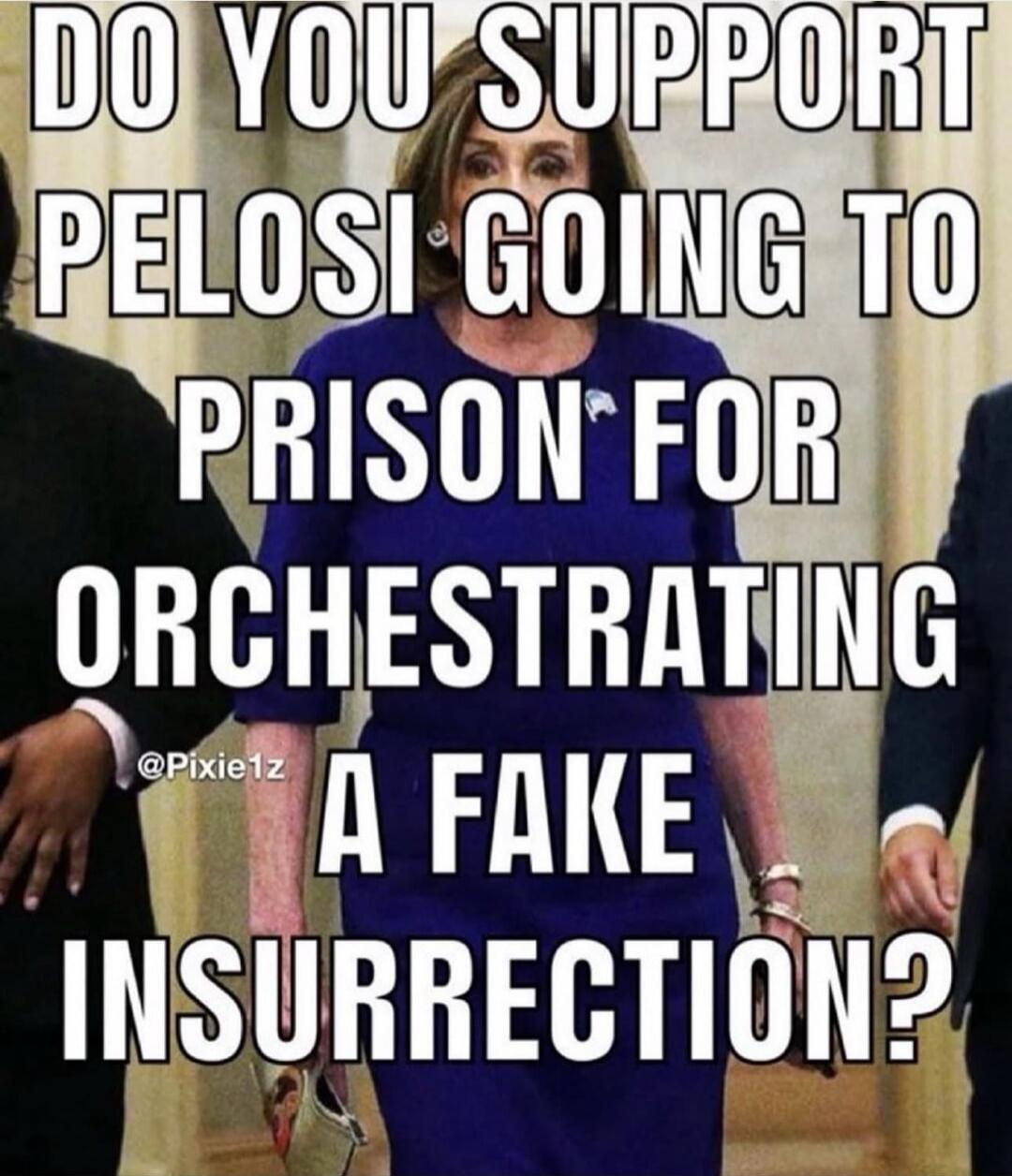 DO YOU SUPPORT PELOSI GOING TO PRISON FOR ORCHESTRATING A FAKE INSURRECTION?