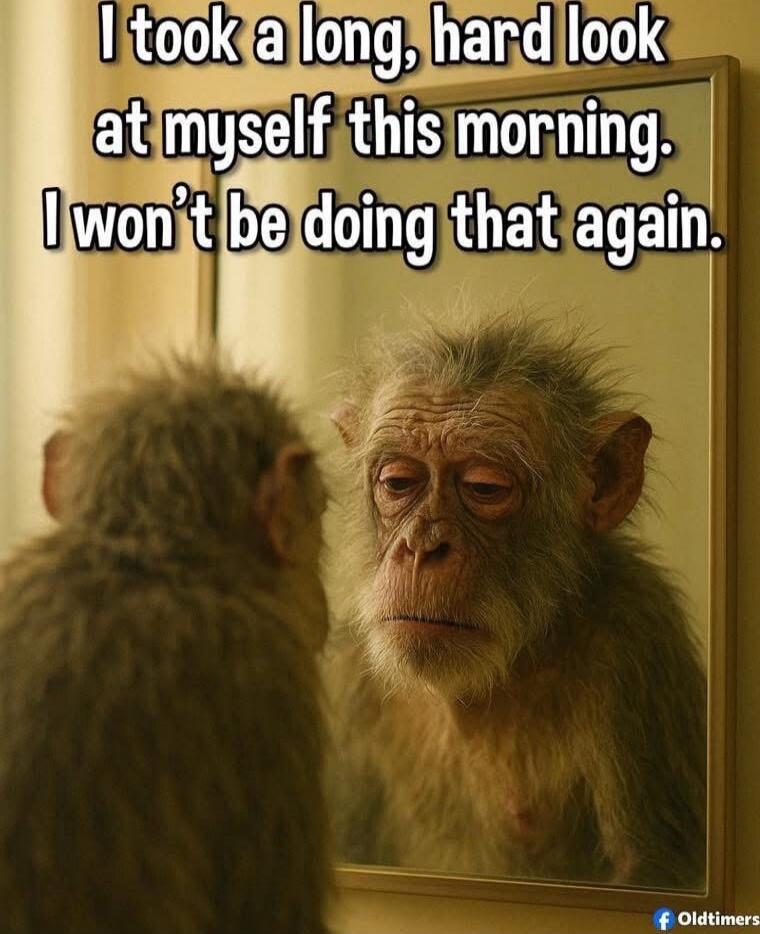 I took a long, hard look at myself this morning. I won’t be doing that again.