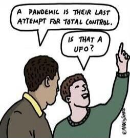 A pandemic is their last attempt for total control. Is that a UFO?
