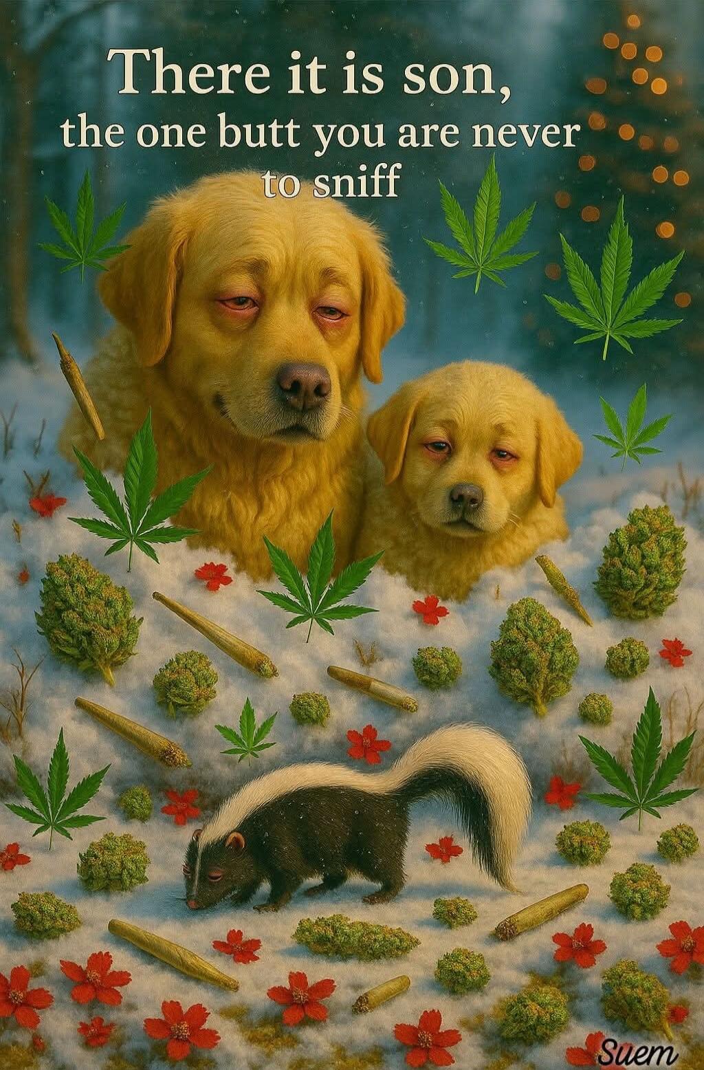 There it is son, the one butt you are never to sniff