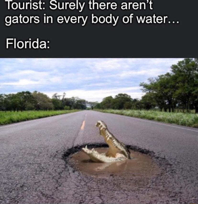 lourist Surely there arent gators in every body of water Florida