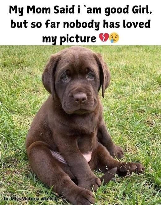 My Mom Said i am good Girl but so far nobody has loved picture