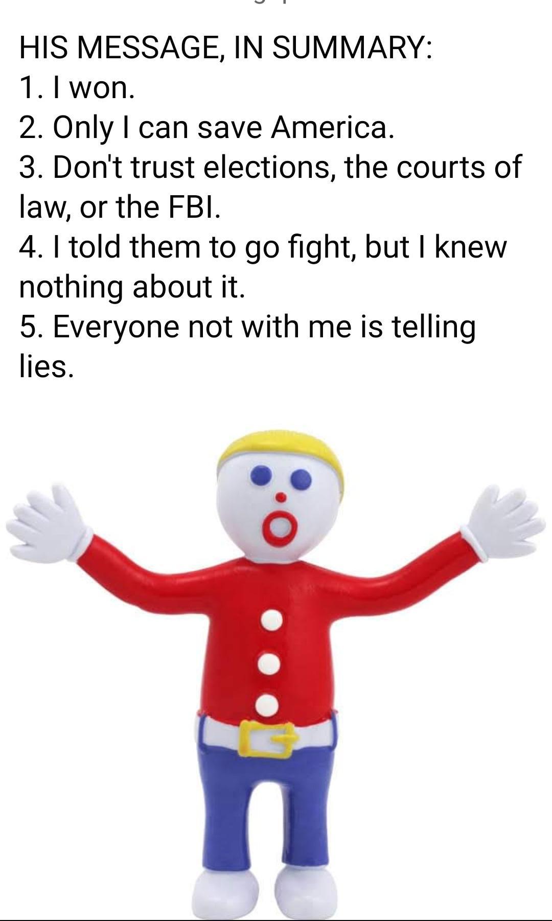 HIS MESSAGE IN SUMMARY 1 1won 2 Only can save America 3 Dont trust elections the courts of law or the FBI 4 told them to go fight but knew nothing about it 5 Everyone not with me is telling lies o