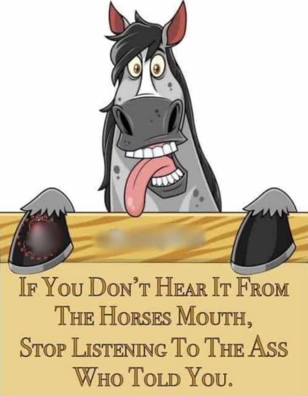 Ir You Dont HEAR IT FrROM Tue Horses Mours Stop ListeninG To THE Ass Wao Torp You