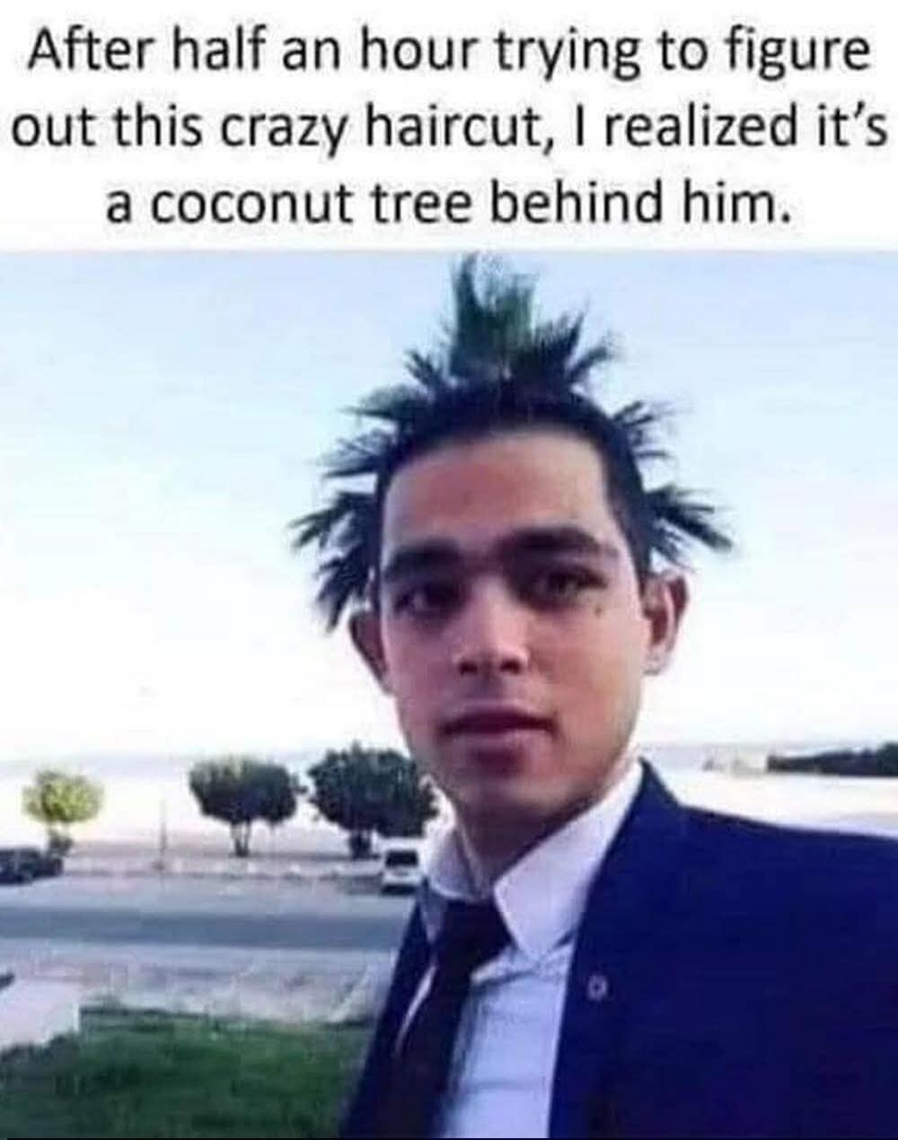 After half an hour trying to figure out this crazy haircut, I realized it's a coconut tree behind him.