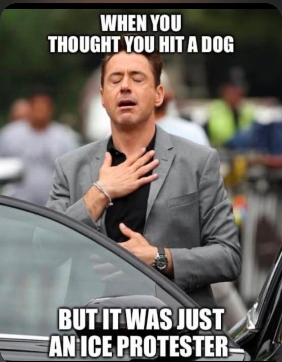 WHEN YOU THOUGHT YOU HIT A DOG BUT IT WAS JUST AN ICE PROTESTER