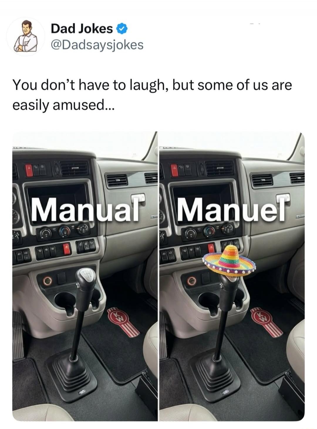 Dad Jokes @Dadsaysjokes You don't have to laugh, but some of us are easily amused... Manual Manuel