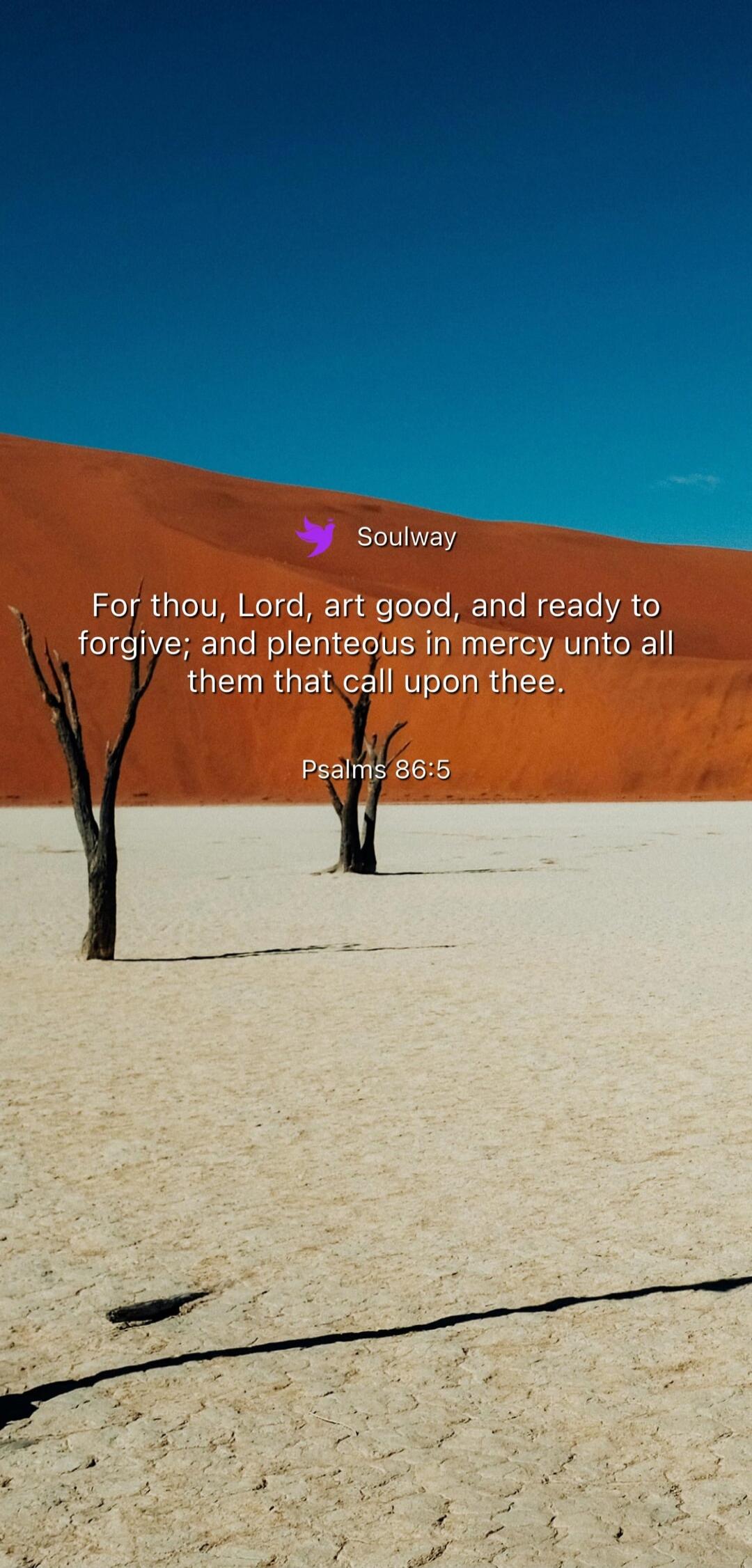 Soulway. For thou, Lord, art good, and ready to forgive; and plenteous in mercy unto all them that call upon thee. Psalms 86:5