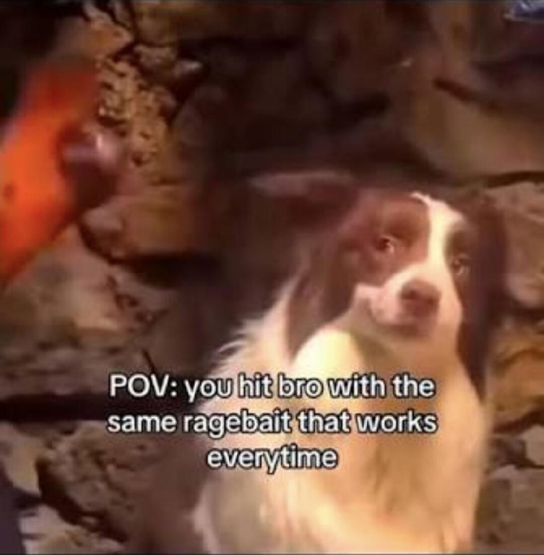 POV: you hit bro with the same ragebait that works everytime