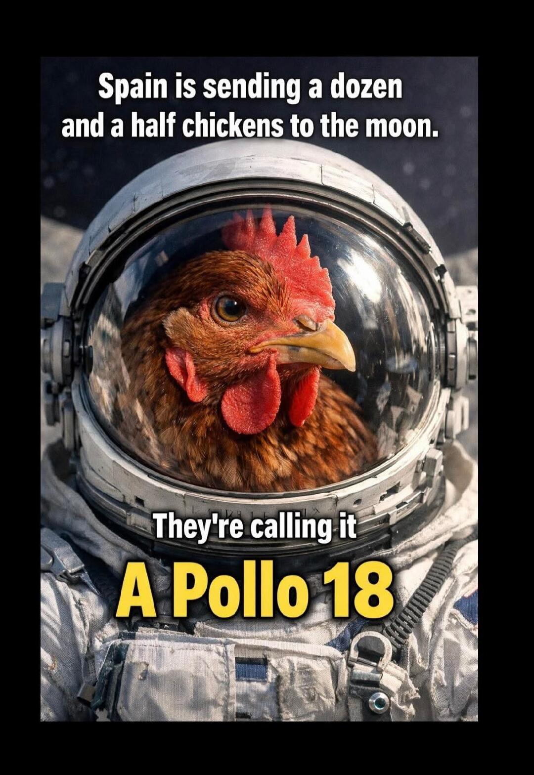 Spain is sending a dozen and a half chickens to the moon. They're calling it A Pollo 18
