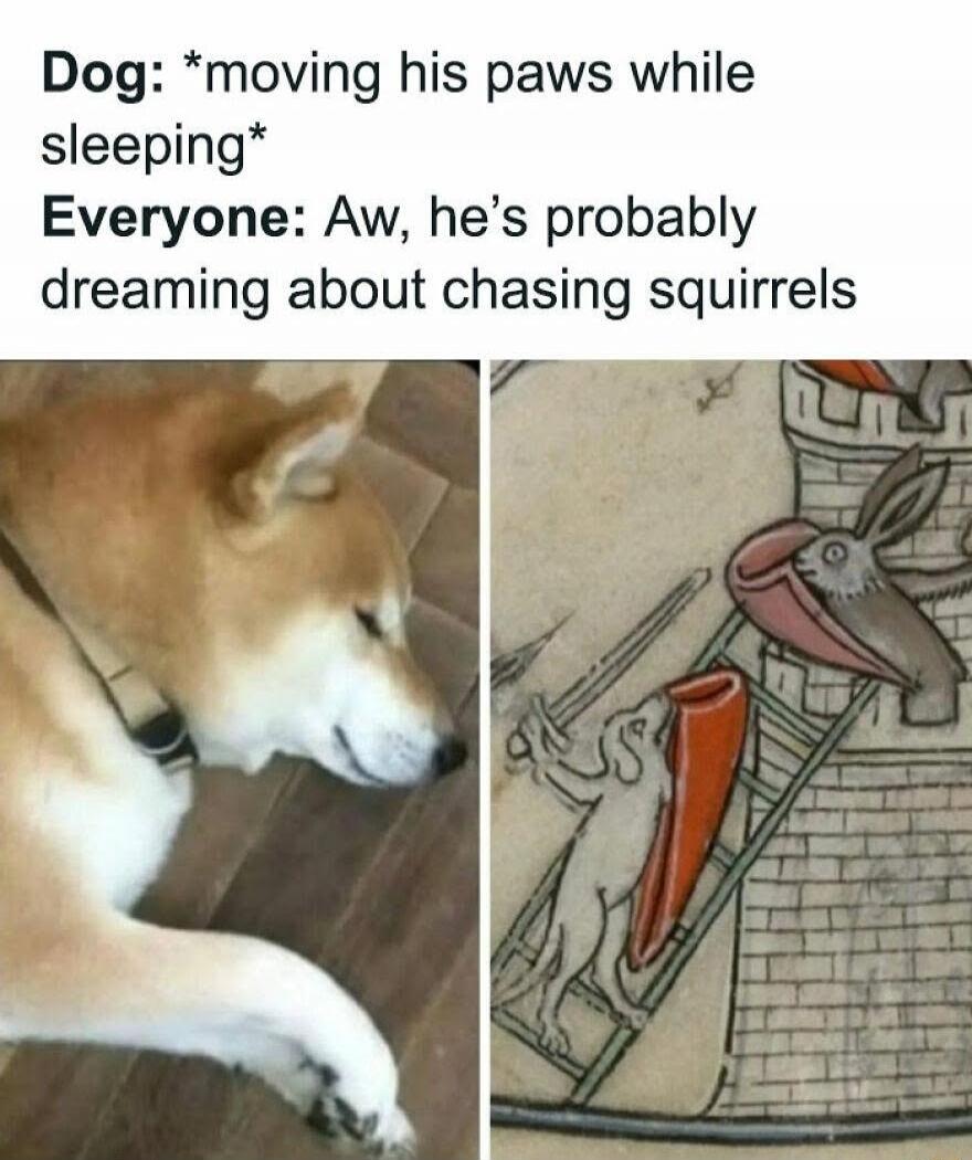 Dog: *moving his paws while sleeping* Everyone: Aw, he's probably dreaming about chasing squirrels