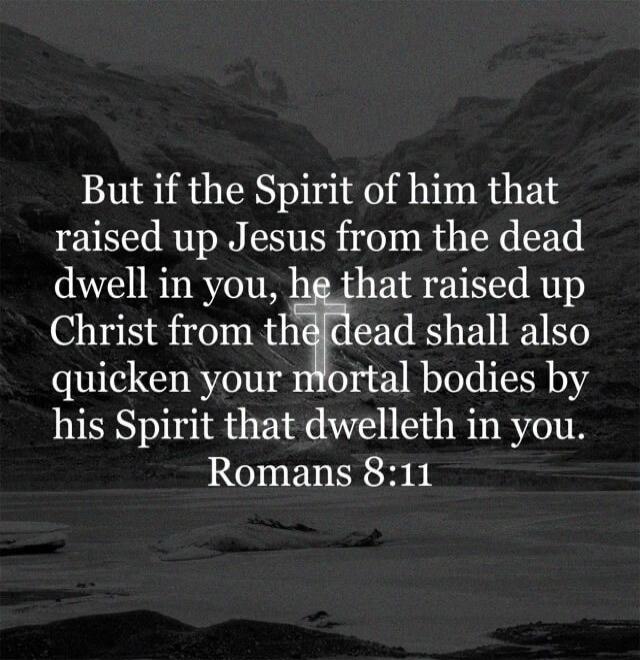 But if the Spirit of him that raised up Jesus from the dead dwell in you, he that raised up Christ from the dead shall also quicken your mortal bodies by his Spirit that dwelleth in you. Romans 8:11
