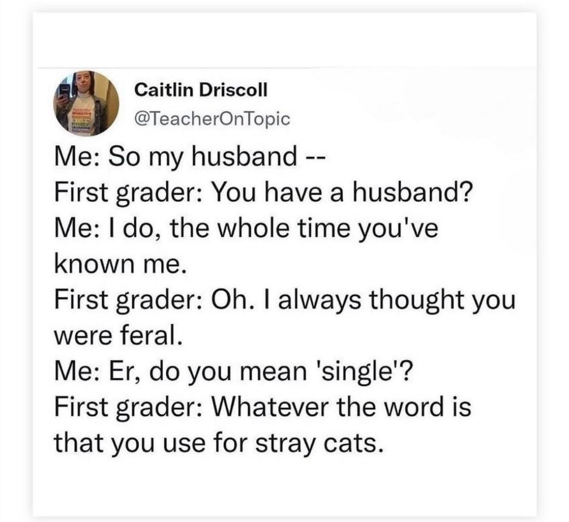 Caitlin Driscoll TeacherOnTopic Me So my husband First grader You have a husband Me do the whole time youve known me First grader Oh always thought you were feral Me Er do you mean single First grader Whatever the word is that you use for stray cats