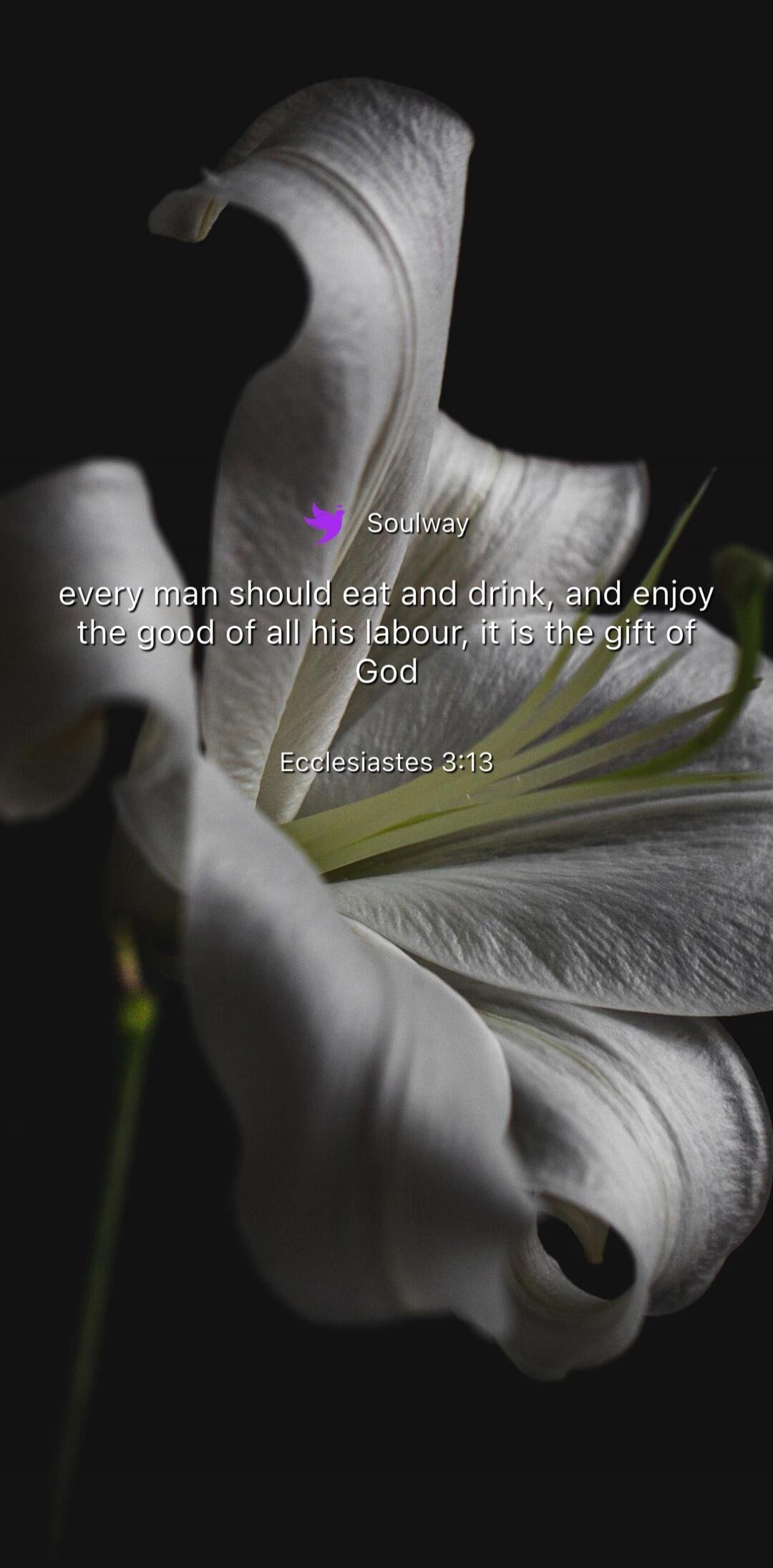 Soulway every man should eat and drink, and enjoy the good of all his labour, it is the gift of God Ecclesiastes 3:13