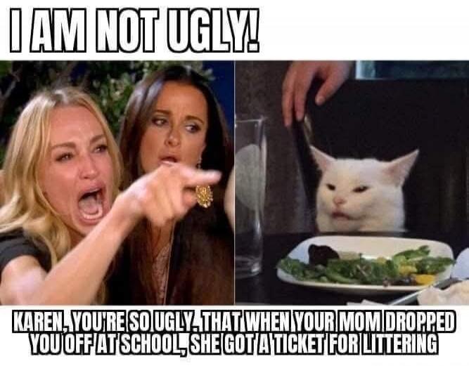 I AM NOT UGLY! KAREN, YOU'RE SO UGLY THAT WHEN YOUR MOM DROPPED YOU OFF AT SCHOOL, SHE GOT A TICKET FOR LITTERING