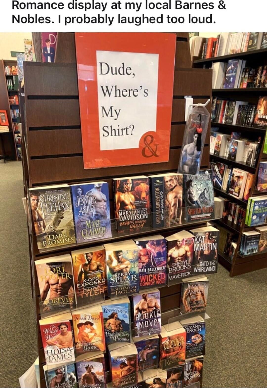 Romance display at my local Barnes Nobles probably laughed too loud
