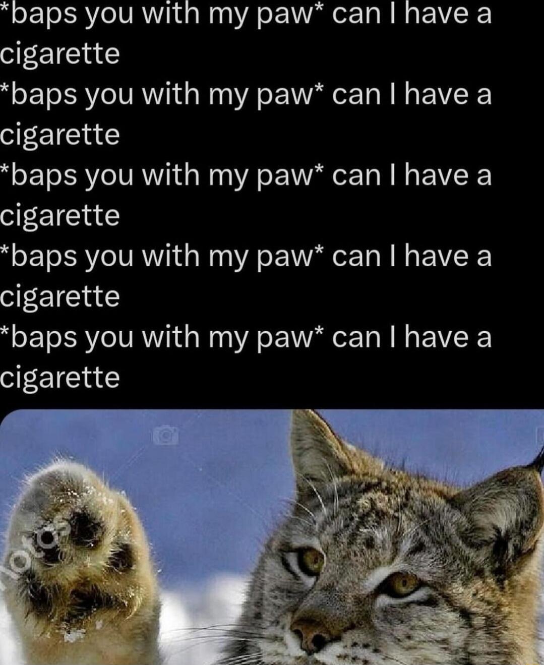 baps you with my paw can have a cigarette baps you with my paw can have a cigarette baps you with my paw can have a cigarette baps you with my paw can have a cigarette baps you with my paw can have a cigarette