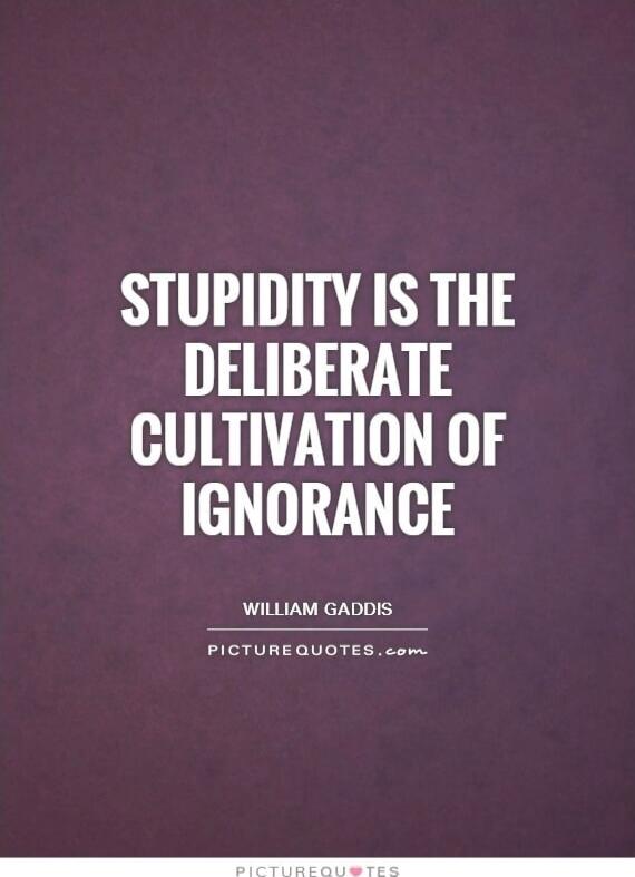 STUPIDITY IS THE DELIBERATE CULTIVATION OF IGNORANCE

WILLIAM GADDIS
PICTUREQUOTES.com