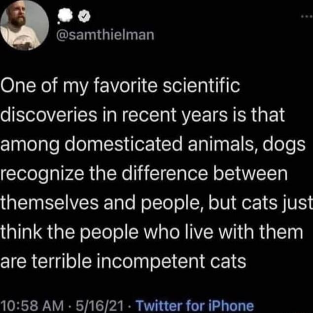 T 80 GEENGIEGED One of my favorite scientific discoveries in recent years is that among domesticated animals dogs recognize the difference between QUEI SNV ToTe o TTol ol M TV o VY think the people who live with them are terrible incompetent cats 1058 AM 51621 Twitter for iPhone