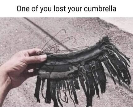 One of you lost your cumbrrella