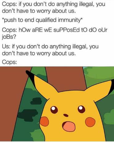 Cops if you dont do anything illegal you dont have to worry about us push to end qualified immunity Cops hOw aRE WE suPPosEd tO dO oUr joBs Us if you dont do anything illegal you dont have to worry about us Cops