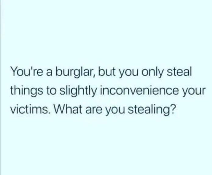 Youre a burglar but you only steal things to slightly inconvenience your victims What are you stealing
