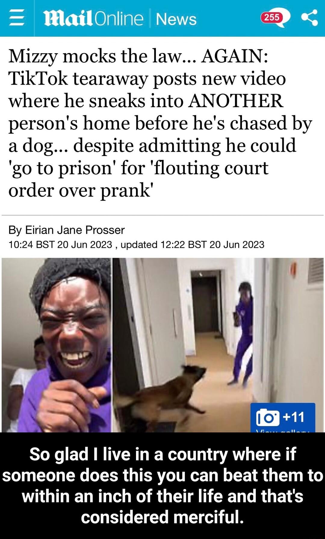 255 Mizzy mocks the law AGAIN TikTok tearaway posts new video where he sneaks into ANOTHER persons home before hes chased by a dog despite admitting he could go to prison for flouting court order over prank By Eirian Jane Prosser 1024 BST 20 Jun 2023 updated 1222 BST 20 Jun 2023 So glad I live in a country where if someone does this you can beat them to within an inch of their life and thats LS EE
