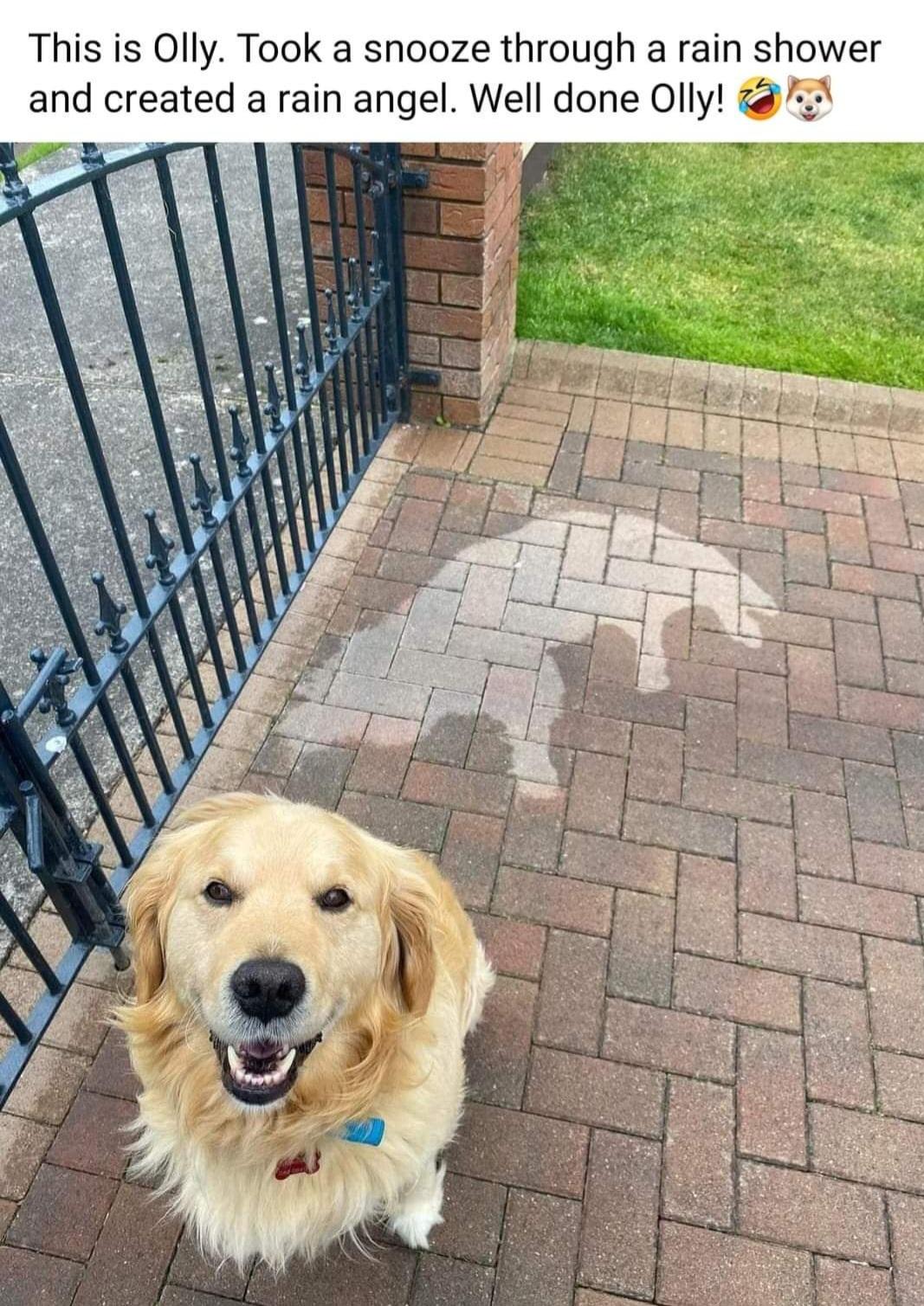 This is Olly Took a snooze through a rain shower and created a rain angel Well done Olly