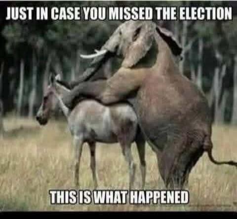 JUST IN CASE YOU MISSED THE ELECTION THIS IS WHAT HAPPENED