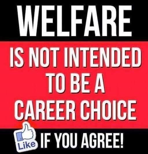 Welfare is not intended to be a career choice. Like if you agree!
