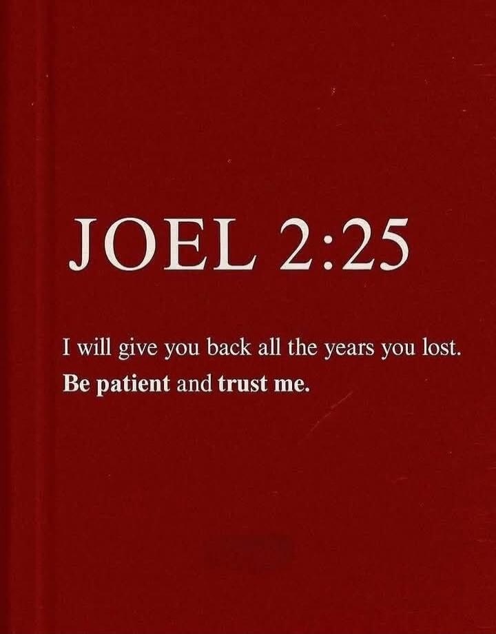 JOEL 2:25 I will give you back all the years you lost. Be patient and trust me.