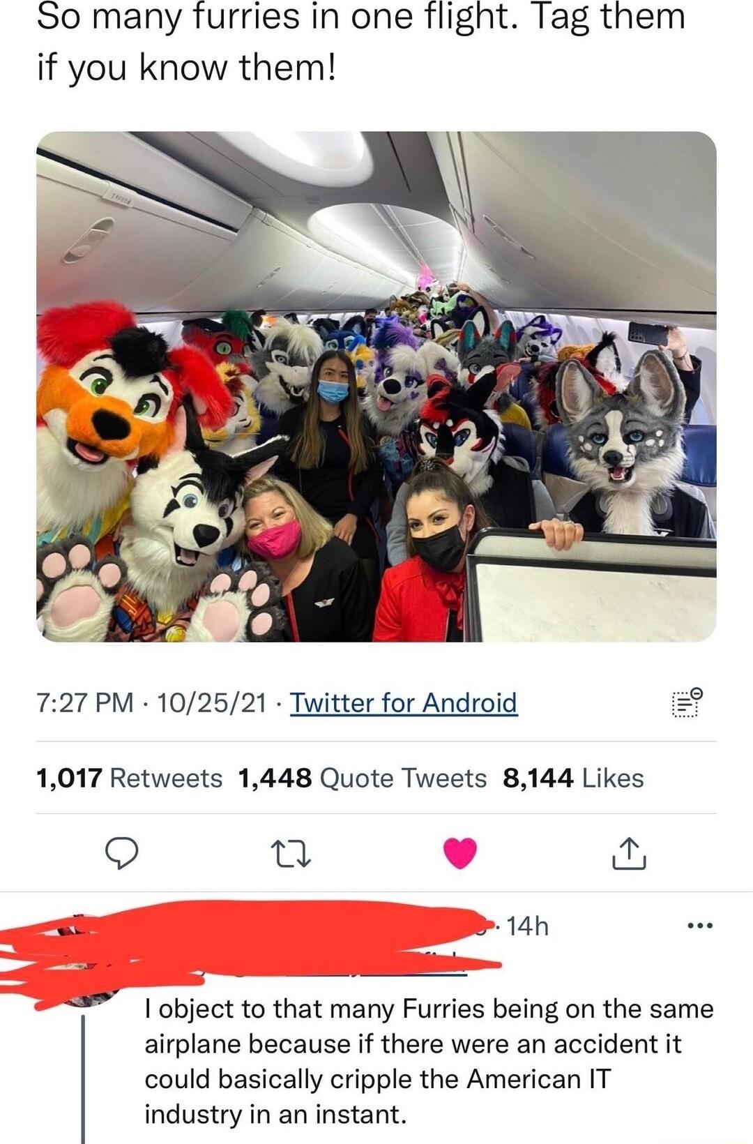 So many furries in one flight Tag them if you know them 727 PM 102521 Twitter for Android 1017 Retweets 1448 Quote Tweets 8144 Likes 9 u B 14h I object to that many Furries being on the same airplane because if there were an accident it could basically cripple the American IT industry in an instant