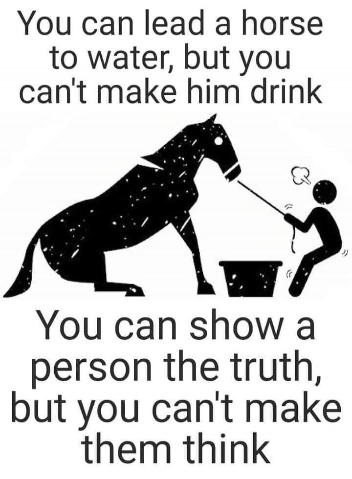 You can lead a horse to water, but you can't make him drink. You can show a person the truth, but you can't make them think.