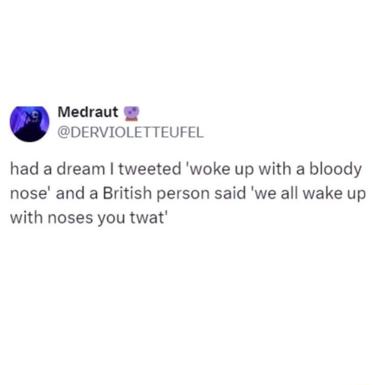 Medraut DERVIOLETTEUFEL had a dream tweeted woke up with a bloody nose and a British person said we all wake up with noses you twat