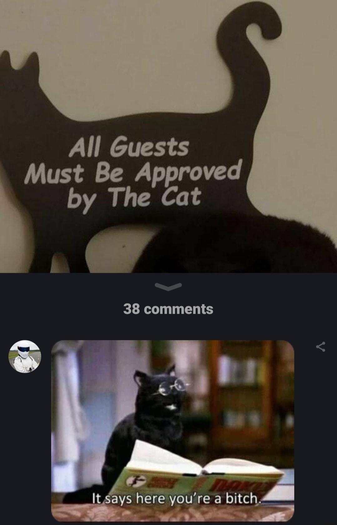 All Guests Must Be Approved by The Cat o 38 comments A _ s It says here youre a bitch 2 R