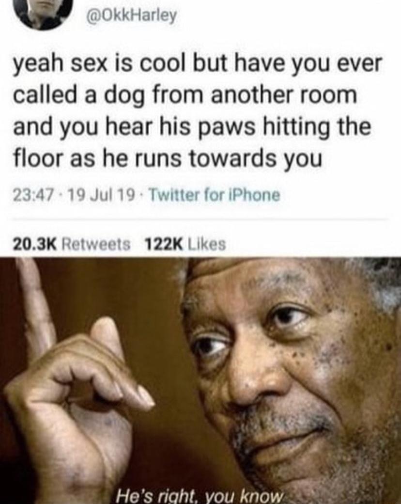 _ OkkHarley yeah sex is cool but have you ever called a dog from another room and you hear his paws hitting the floor as he runs towards you 2347 19 Jul 19 Twitter for iPhone 203K Retweets 122K Lik Hes riaht vou know