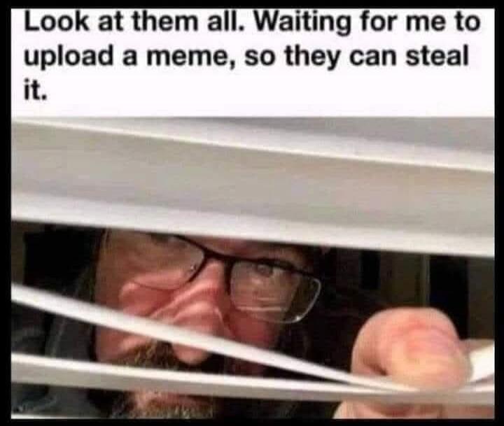 Look at them all. Waiting for me to upload a meme, so they can steal it.