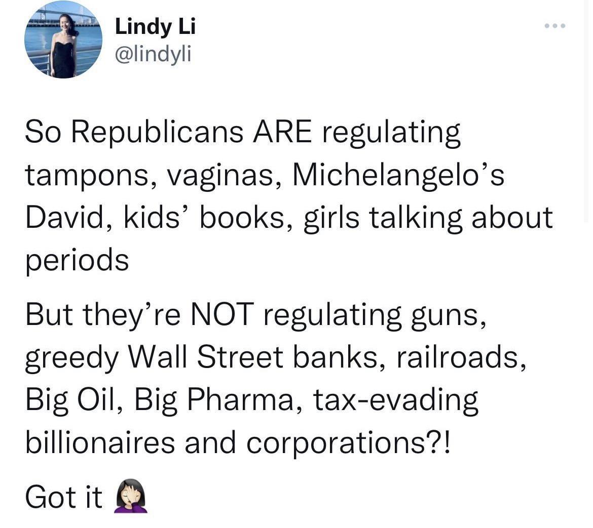 Lindy Li lindyli So Republicans ARE regulating tampons vaginas Michelangelos David kids books girls talking about periods But theyre NOT regulating guns greedy Wall Street banks railroads Big Oil Big Pharma tax evading billionaires and corporations Got it
